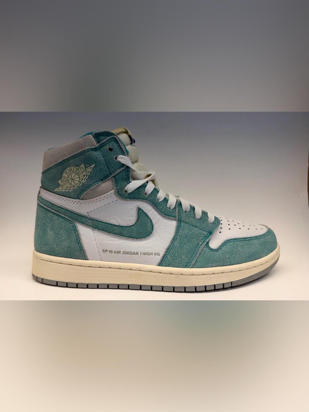 Nike Air Jordan 1 High OG (189)